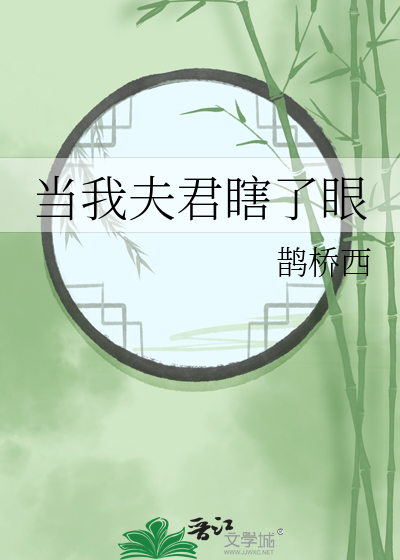 当我夫君瞎了眼 作者：鹊桥西