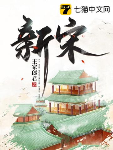 新宋》全本 作者：王家郎君