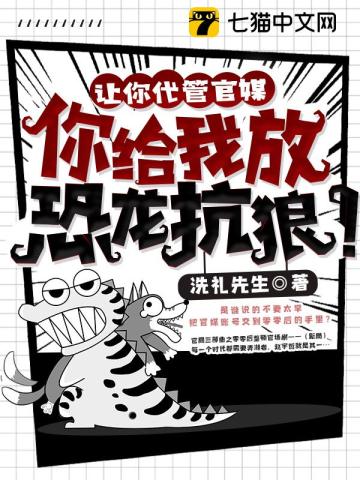 官场：从整顿职场到权路巅峰 作者：洗礼先生