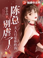 陈总别虐了，夫人只爱你的钱 作者：苏小白