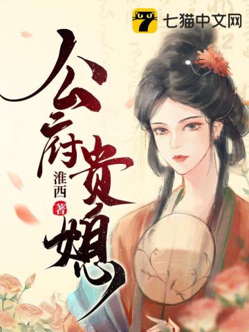公府贵媳》全本 作者：淮西