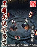 黑暗武侠登陆器 作者：冬雪华阳
