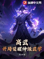 高武：开局觉醒神级武学 作者：老夫所