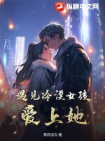 遇见冷漠女孩爱上她txt下载