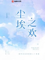 尘埃之欢 作者：孟夏知时