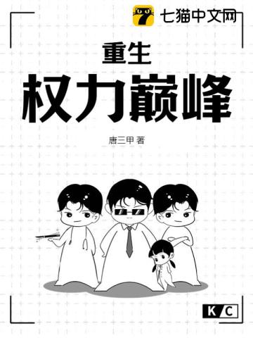 重生：权力巅峰 作者：唐三甲