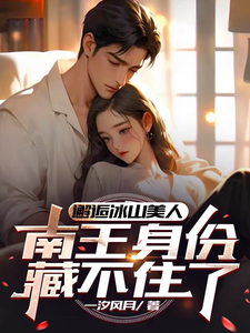 邂逅冰山美人,南王身份藏不住了txt下载
