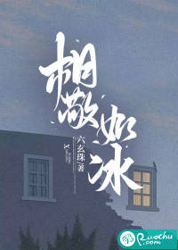 相敬如冰txt下载