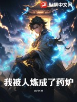我被人炼成了药炉txt下载
