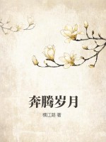 奔腾岁月txt下载