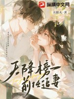 天降榜一,前任追妻txt下载