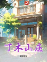 丁木山庄txt下载