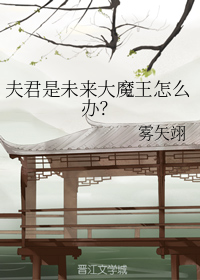 夫君是未来大魔王怎么办？ 作者：雾矢翊