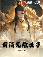 有请无敌世子 作者：藏花主人