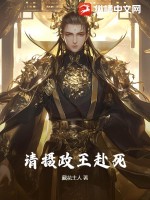 请摄政王赴死 作者：藏花主人