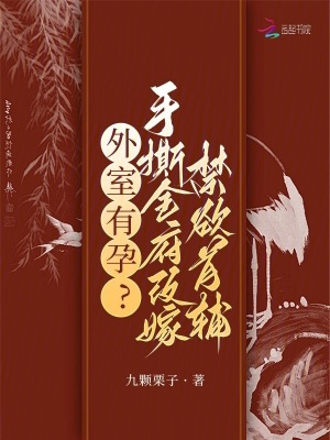 外室有孕？手撕全府改嫁禁欲首辅 作者：九颗栗子