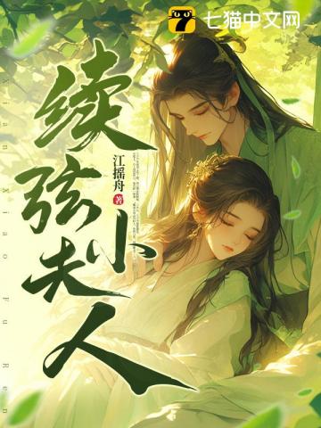 续弦小夫人txt下载