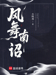风舞南诏txt下载