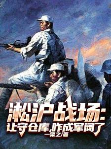 淞沪战场：让守仓库，咋成军阀了txt下载