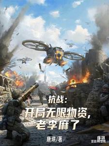 抗战：开局无限物资，老李麻了txt下载