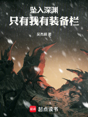 坠入深渊：只有我有装备栏txt下载