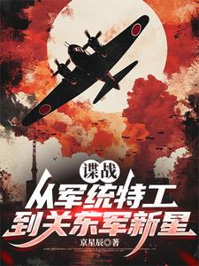 谍战：从军统特工到关东军新星txt下载