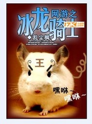 网游之冰龙骑士 作者：乱尘枫