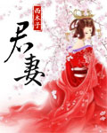 君妻 作者：西木子