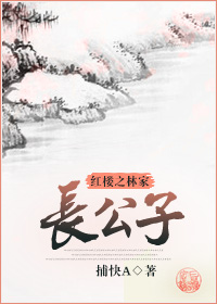 红楼之林家长公子 作者：捕快A