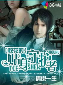 近身守护者txt下载