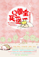 寻爹启示：萌宝买一送一txt下载