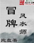 冒牌风水师 作者：跑盘