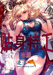 贴身特工txt下载