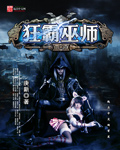 最后一个巫师 作者：庚新
