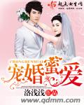 宠婚蜜爱 作者：洛浅浅