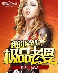 我的极品老婆txt下载