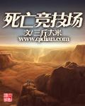 死亡竞技场 作者：三斤大米