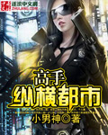 高手纵横都市txt下载