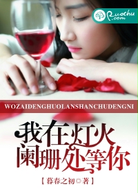 我在灯火阑珊处等你txt下载