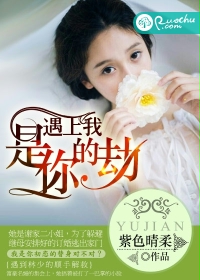 遇上我是你的劫txt下载