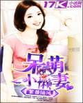 呆萌小懒妻txt下载