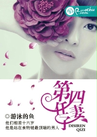第四任妻子txt下载