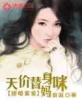 甜婚蜜爱：天价替身妈咪 作者：袁诞