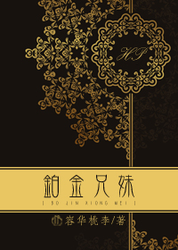 HP铂金兄妹txt下载