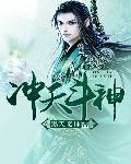 冲天斗神 作者：黑天魔神