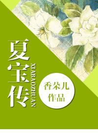 夏宝传Ⅰ 作者：香朵儿
