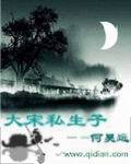大宋私生子 作者：何昊远