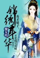 秀才娘子：傻女的锦绣年华 作者：不爱钱只爱财