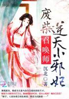 废柴召唤师：逆天小邪妃 作者：沉北