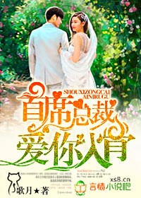 首席总裁，爱你入骨 作者：歌月